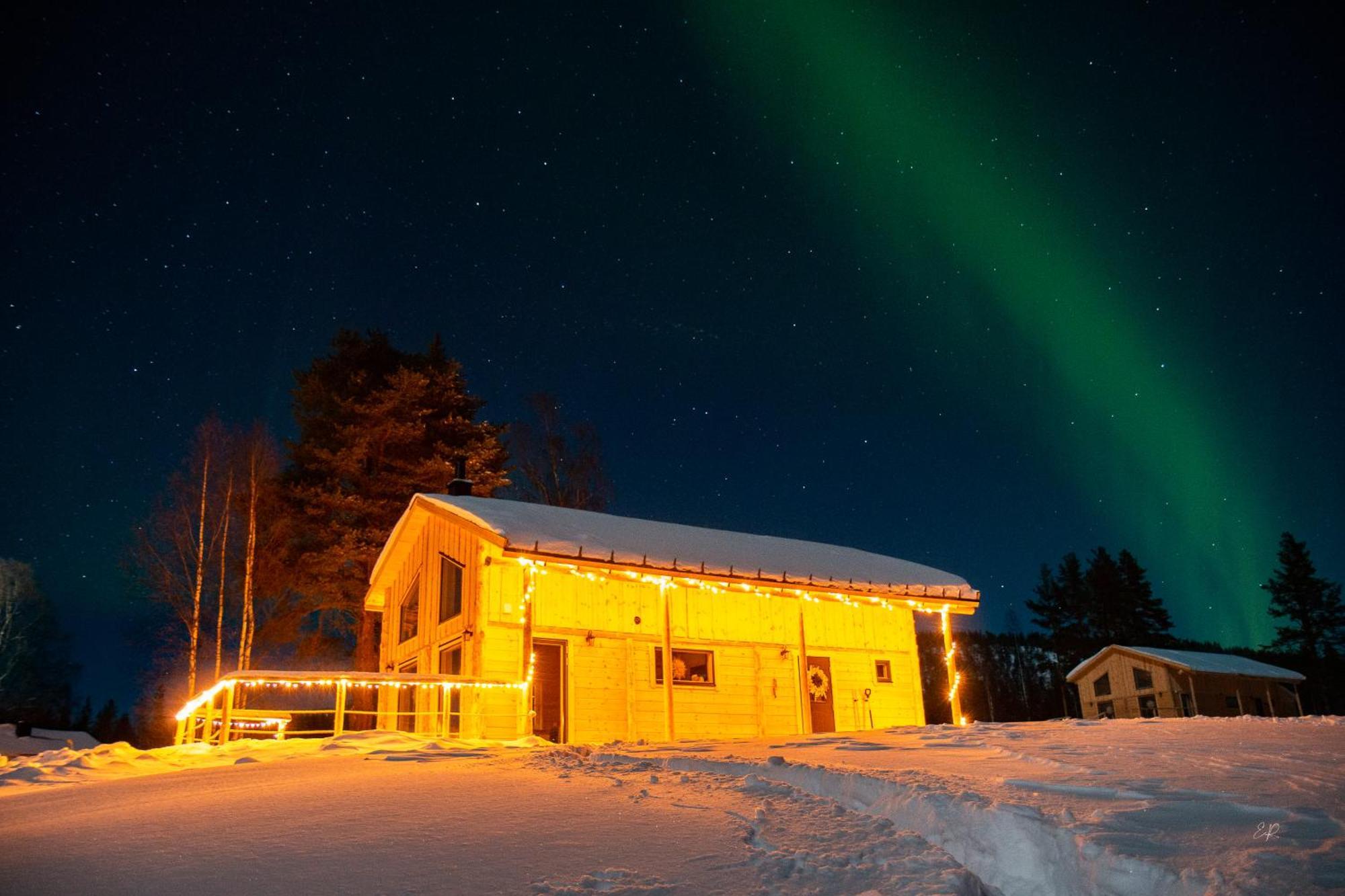 Blueberry Lodge 5 Personnes Mjolan Екстериор снимка
