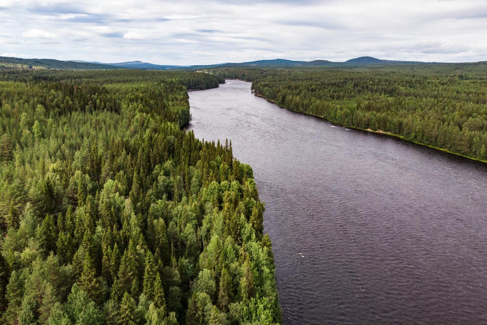 Blueberry Lodge 5 Personnes Mjolan Екстериор снимка
