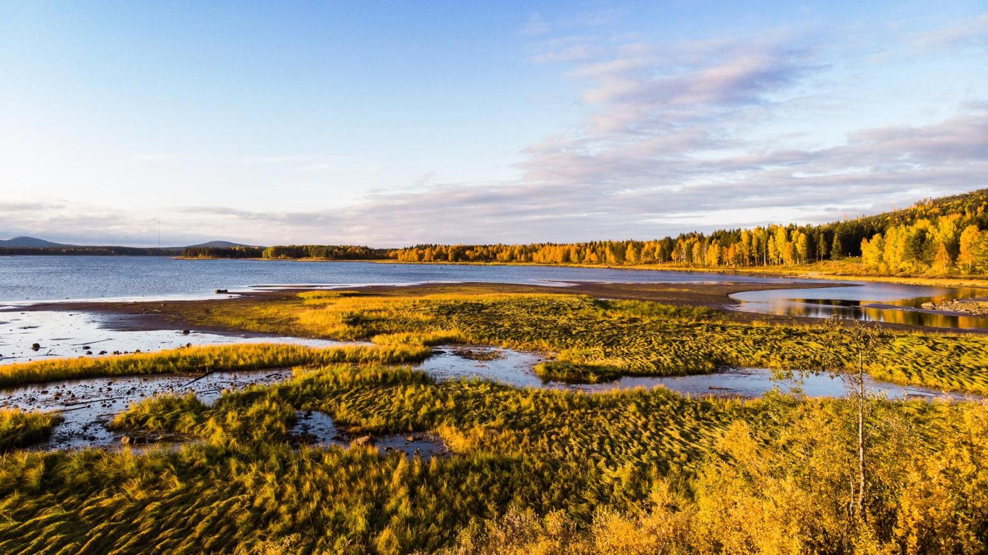 Blueberry Lodge 5 Personnes Mjolan Екстериор снимка