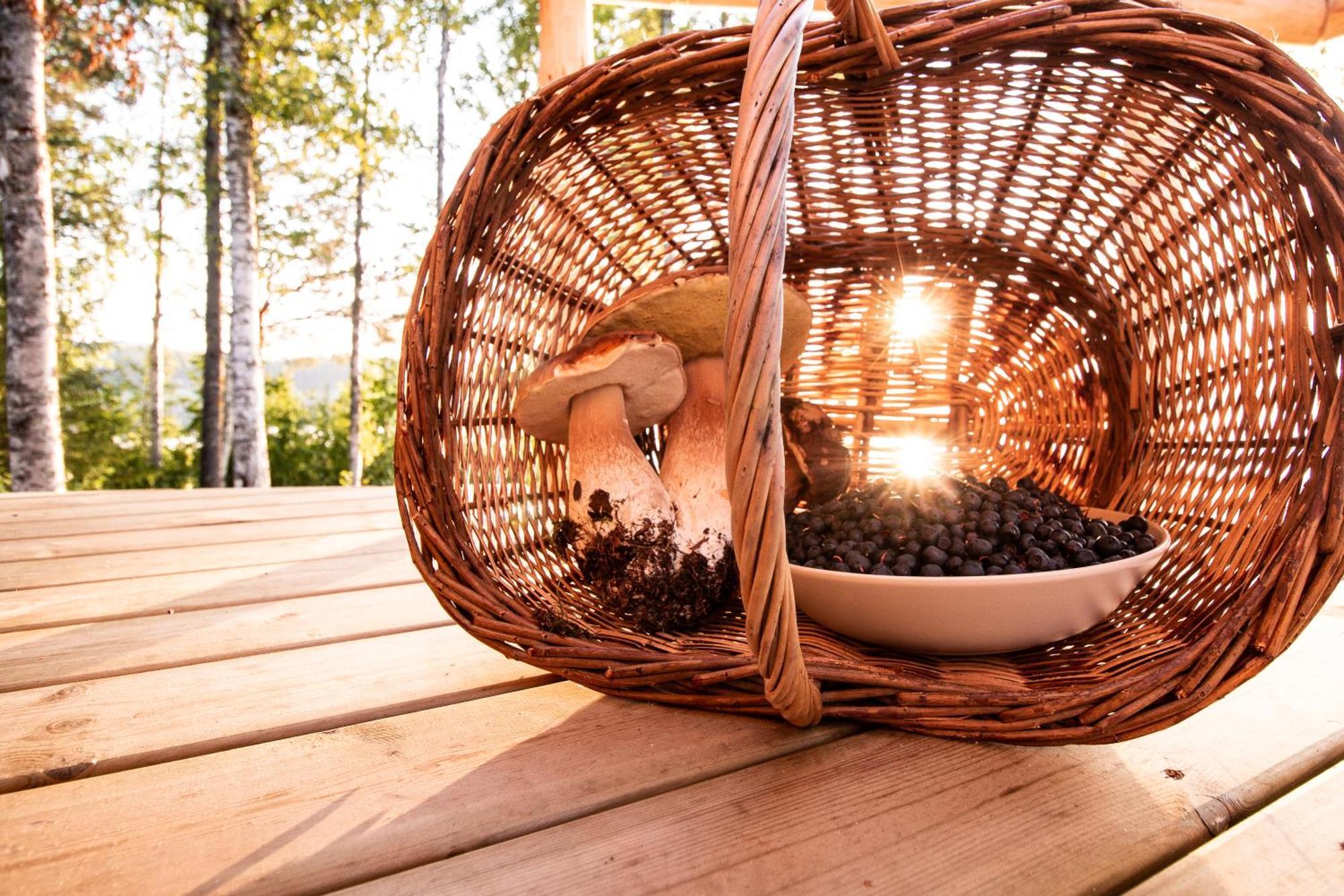 Blueberry Lodge 5 Personnes Mjolan Екстериор снимка